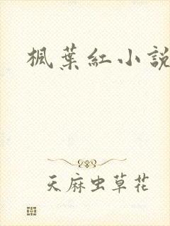 枫叶红小说
