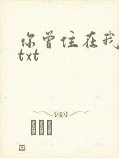 你曾住在我心上txt