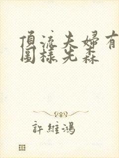 顶流夫妇有点甜图样先森