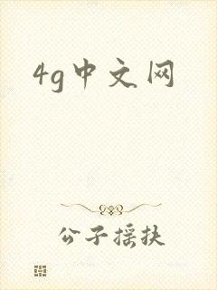 4g中文网