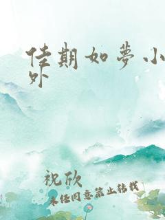 佳期如梦小说番外