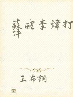 苏醒李炜打架事件