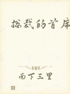 总裁的首席保姆