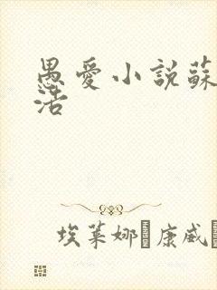 愚爱小说苏倩孙浩