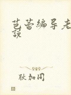 芭蕾编导老师小说