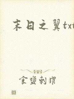 末日之翼txt