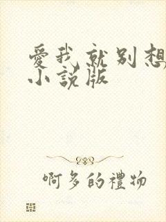 爱我就别想太多小说版