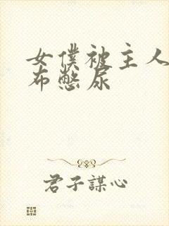 女仆被主人用胶布憋尿