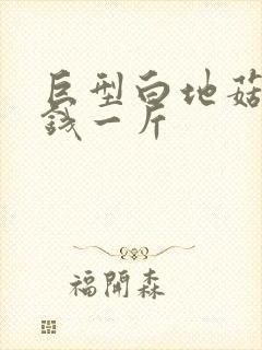 巨型白地菇多少钱一斤