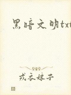 黑暗文明txt