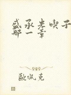 盛承光吃子时奶哪一章