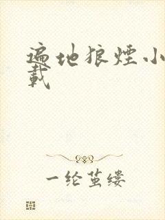 遍地狼烟小说下载