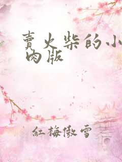 卖火柴的小男孩 肉版