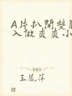 A片扒开双腿进入做爽爽小说