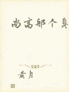 尚高那个臭小子