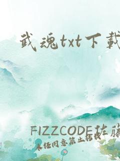 武魂txt下载