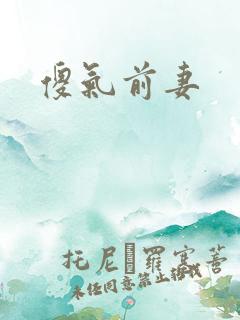 傻气前妻