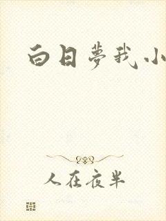 白日梦我小说