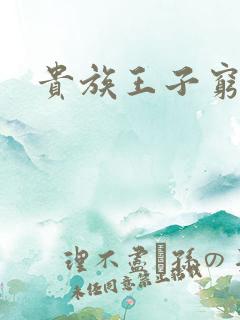 贵族王子穷公主