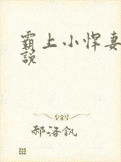 霸上小悍妻 小说