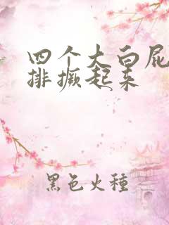 四个大白屁股并排撅起来