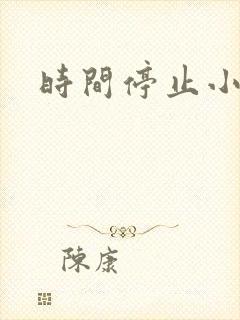 时间停止小说