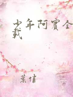 少年阿宾全集下载