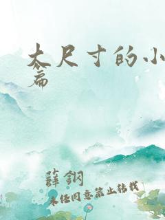 大尺寸的小说短篇