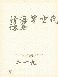 情海星空我与刘德华