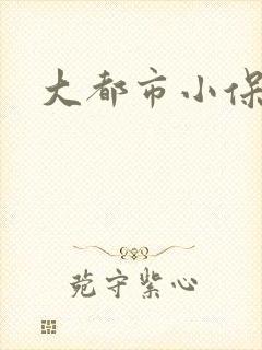 大都市小保安