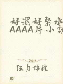好湿好紧水多AAAAA片小说