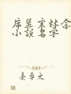 席慕寒林念儿的小说名字