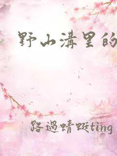 野山沟里的村庄