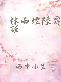 林雨烟陆霆琛小说