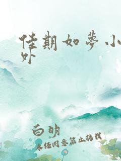 佳期如梦小说番外