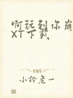 啊玩到你崩溃TXT下载