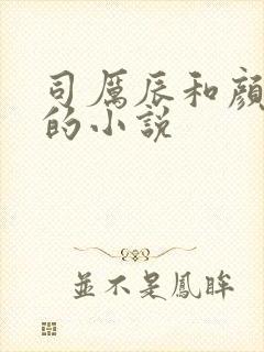 司厉辰和颜辞兮的小说