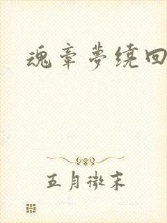 魂牵梦绕回大清