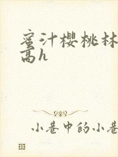 蜜汁樱桃林妙妙高h