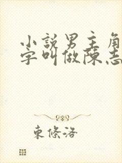 小说男主角的名字叫做陈志远