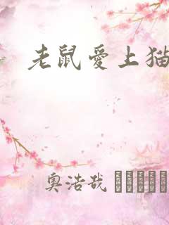 老鼠爱上猫下载