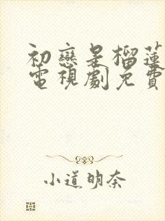 初恋是榴莲先生电视剧免费观看