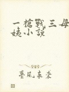 一枪战三母2雪姨小说