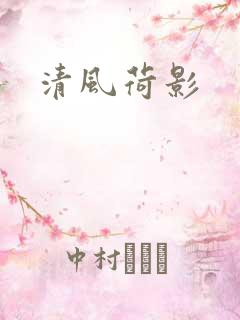 清风荷影