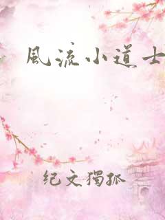 风流小道士