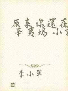 原来你还在这里 辛夷坞 小说