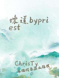 坏道bypriest