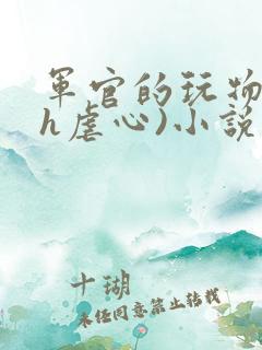 军官的玩物(高h虐心)小说