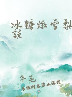 冰糖炖雪梨 小说