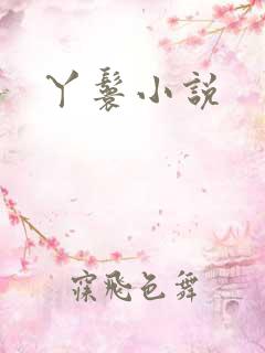 丫鬟小说